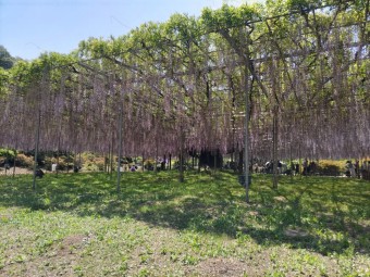 DSC_0538-e1684315339824